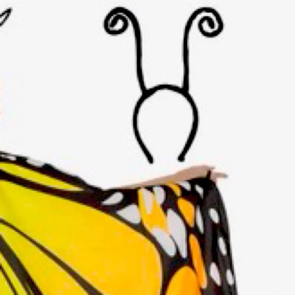 Butterfly wings and accessories - Picture 3 of 5